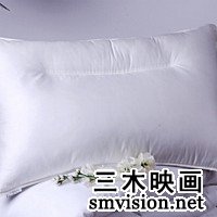 维科家纺负离子枕芯产品图片展示